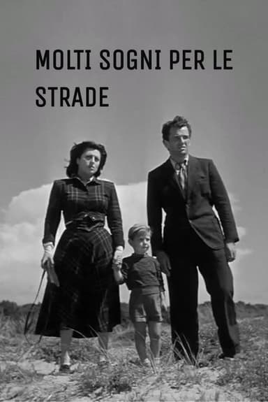 Woman Trouble poster