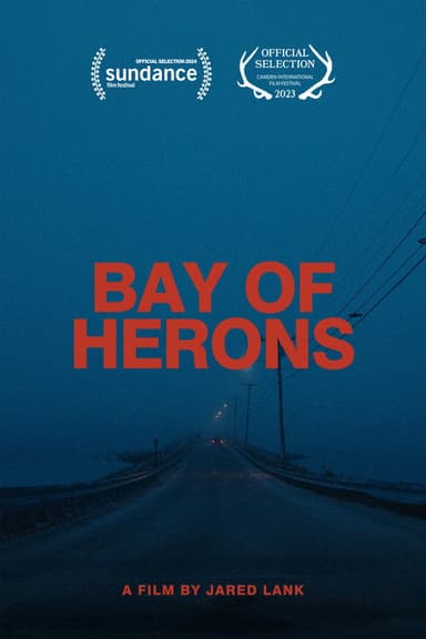 Bay Of Herons poster