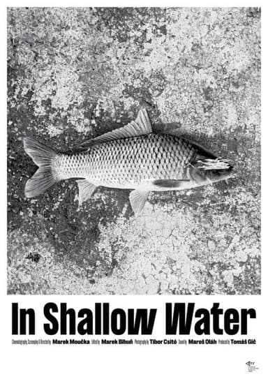 In Shallow Water poster