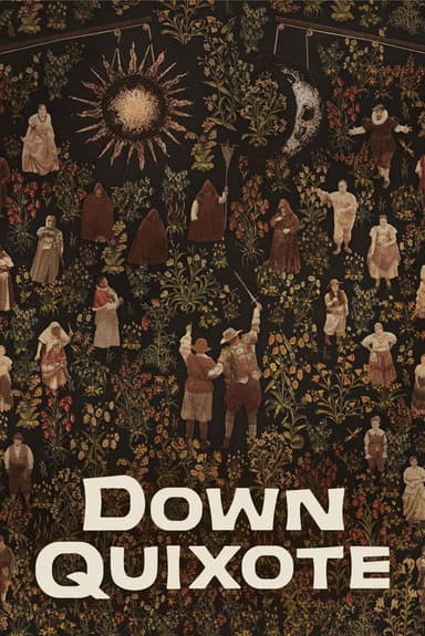 Down Quixote poster