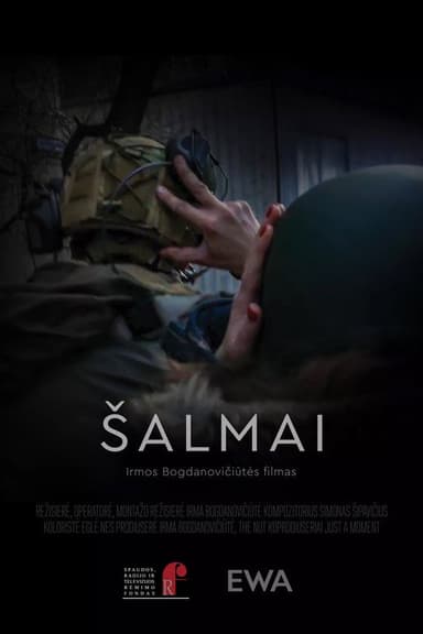 Helmets poster