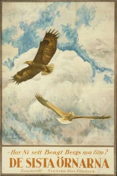 Sagan om de sista örnarna poster