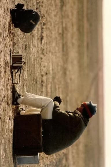 Landscape On the Other Side: Hong Kong Cinematographer Bill Wong poster