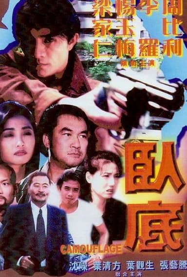 Camouflage poster