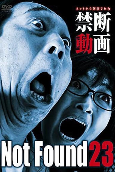 Not Found 23 poster
