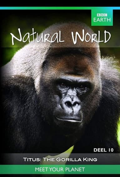 Titus: The Gorilla King poster