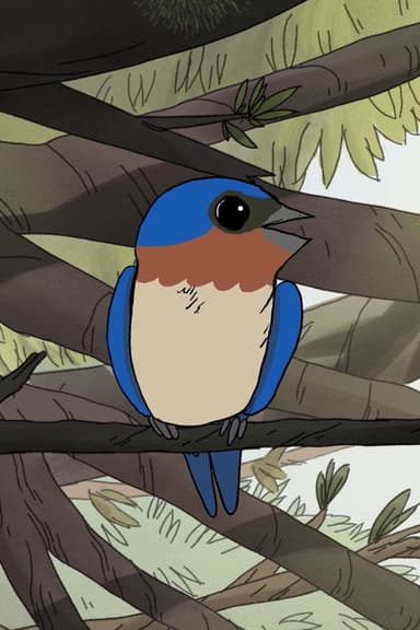 Birds poster