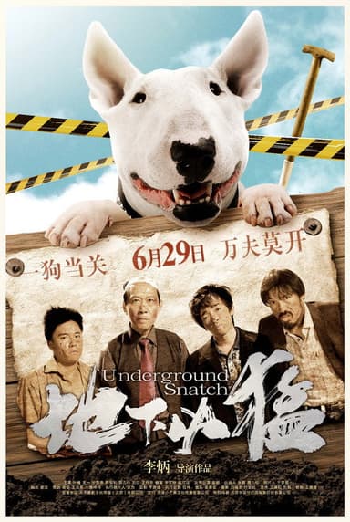 Underground Snatch poster