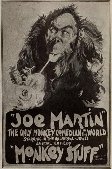 Monkey Stuff poster