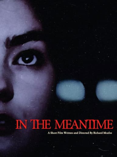 In the Meantime poster