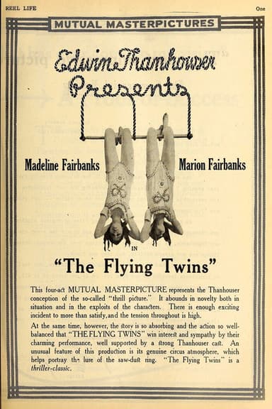 The Flying Twins poster