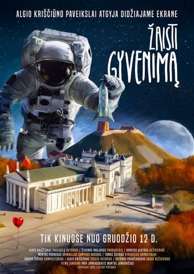 Play Life poster