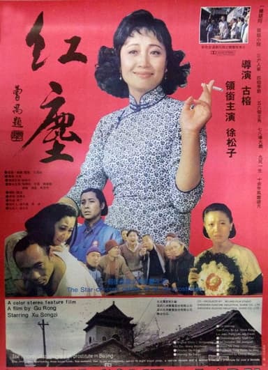 Unwelcome Lady poster