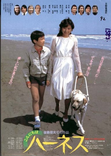 Konnichiwa Hânesu poster