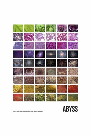 Abyss poster
