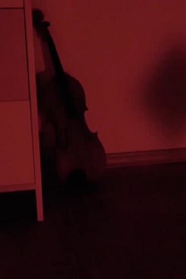 Schatten poster