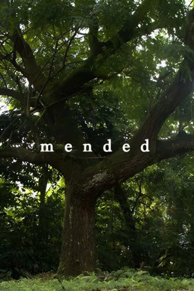 Mended poster