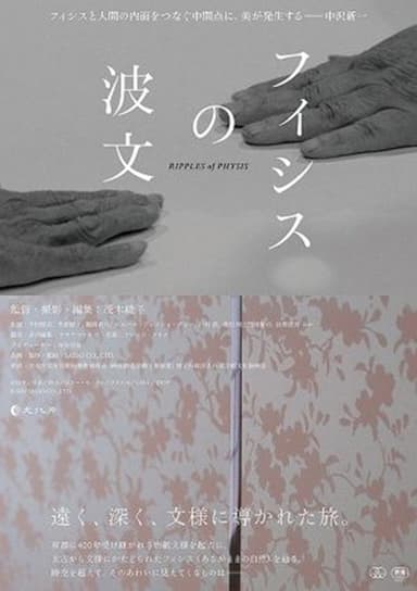 Ripples of Physis poster