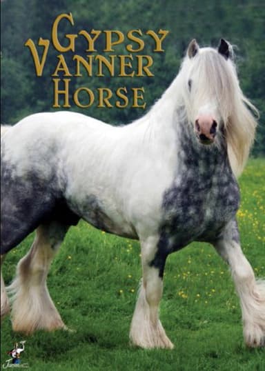 Gypsy Vanner Horse poster