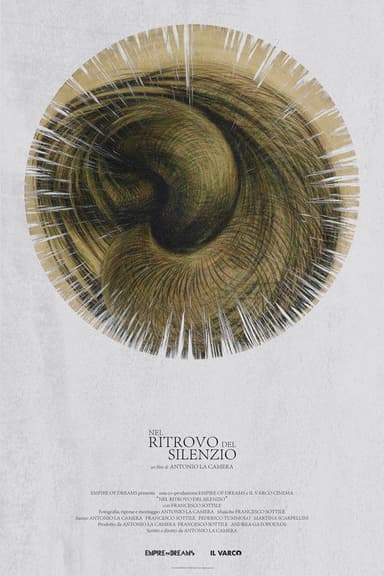 Nel Ritrovo del Silenzio poster