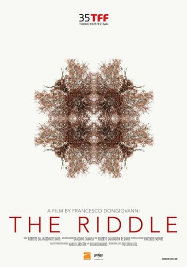 The Riddle poster