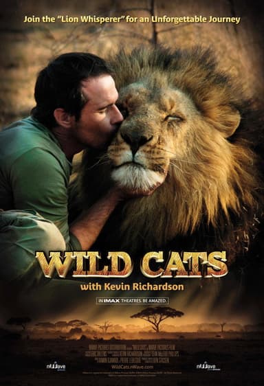 Wild Cats 3D poster