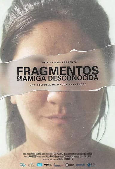 Fragments of an Unknown Friend poster