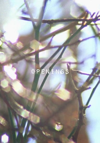 Openings poster