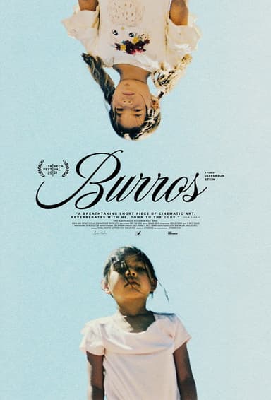 Burros poster