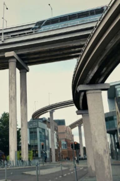 The Sprawling Octopus of an Elevated Highway poster