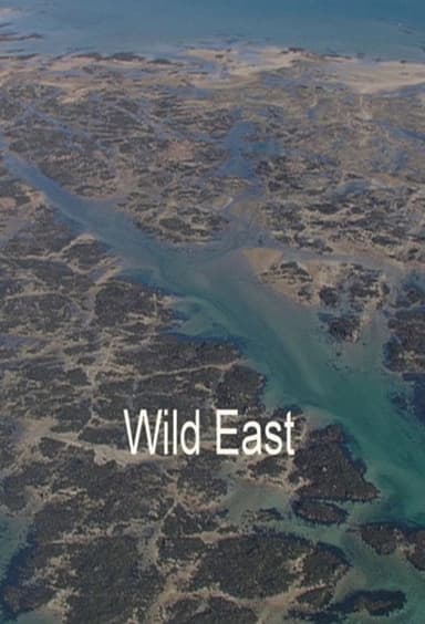 Wild East poster