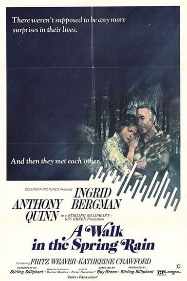 A Walk in the Spring Rain poster