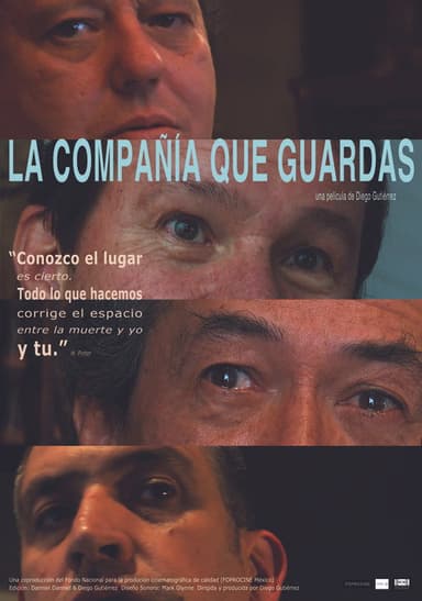 The Company You Keep poster