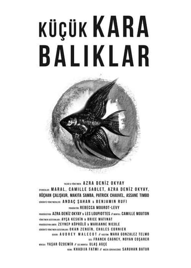 Little Black Fishes poster