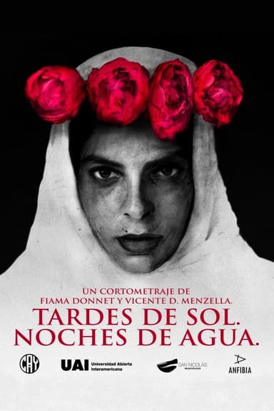 Tardes de sol. Noches de agua. poster