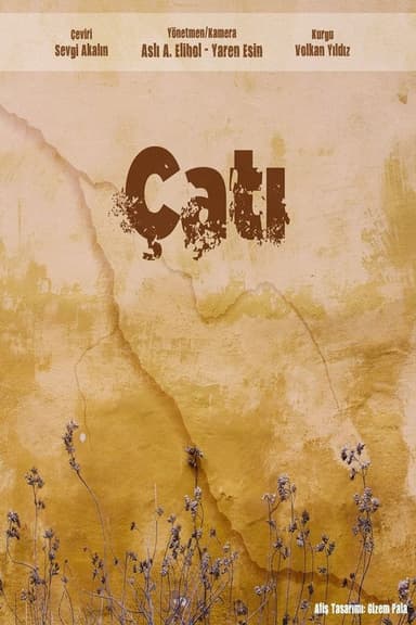 Çatı poster