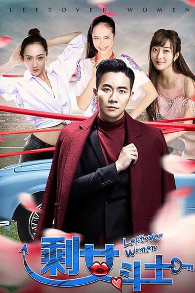 剩女斗士 poster