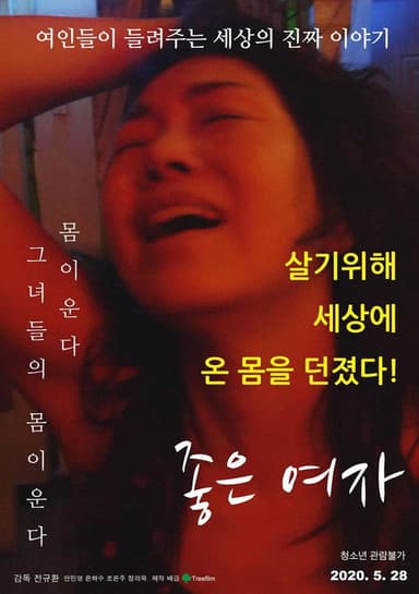 Wonderful Woman poster