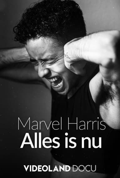 Marvel Harris Alles Is Nu poster