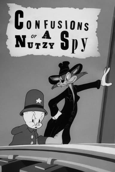 Confusions of a Nutzy Spy poster