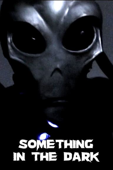 Something in the Dark poster