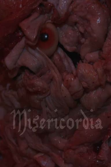 Misericordia poster