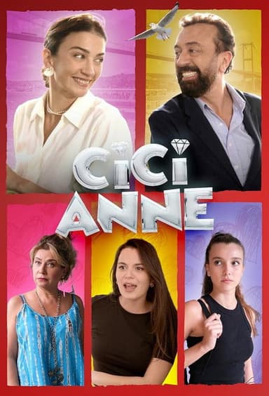 Step Mom poster