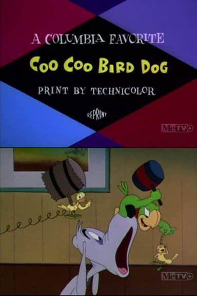 Coo-Coo Bird Dog poster
