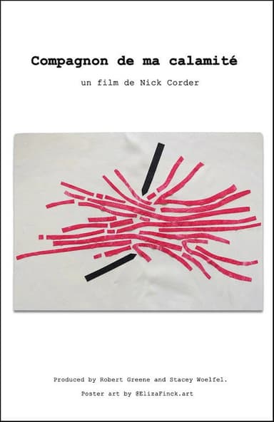 Compagnon de ma calamité poster