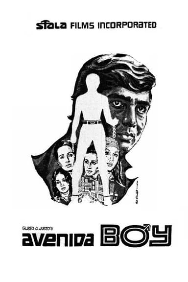 Avenida Boy poster
