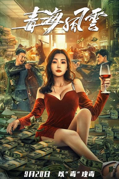 Drug Storm poster