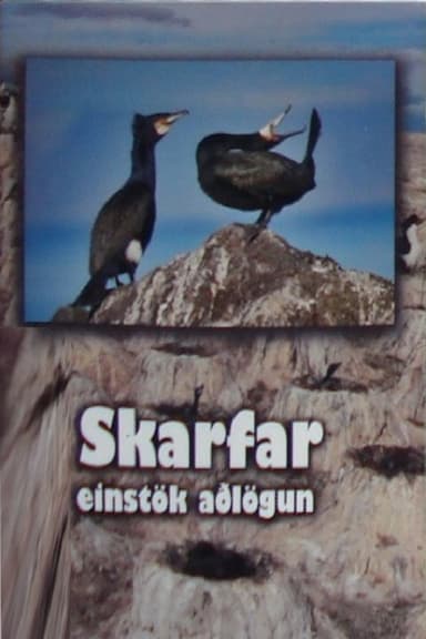 Skarfar poster