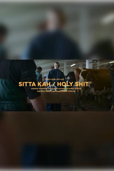 Holy Shit poster