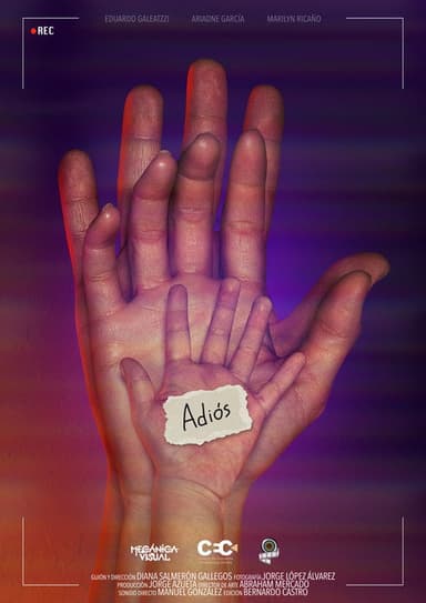 Adiós poster